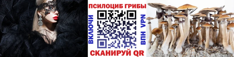 Псилоцибиновые грибы Psilocybe Купить где Микунь
